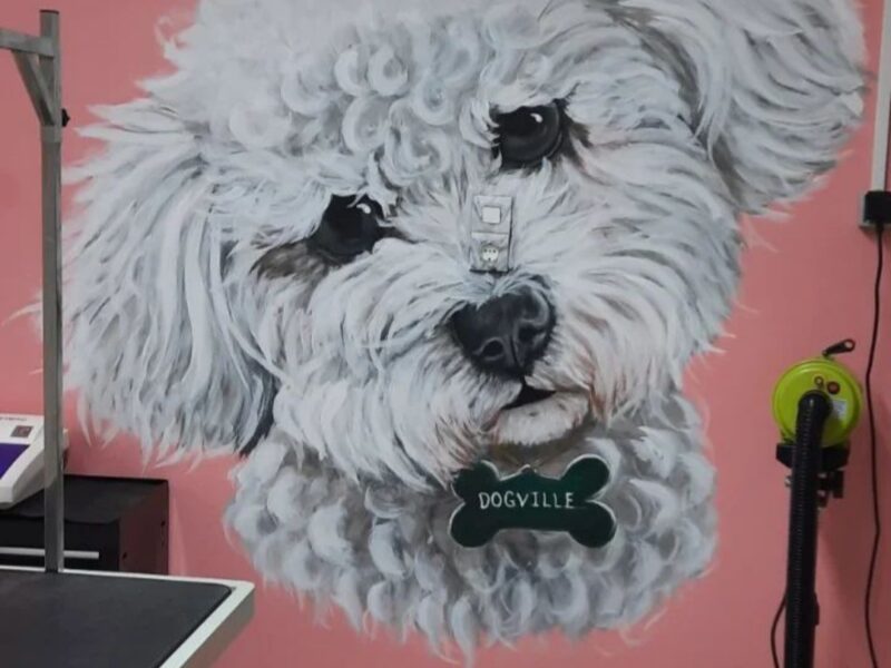 Τοιχογραφίες, πίνακες κατά παραγγελία